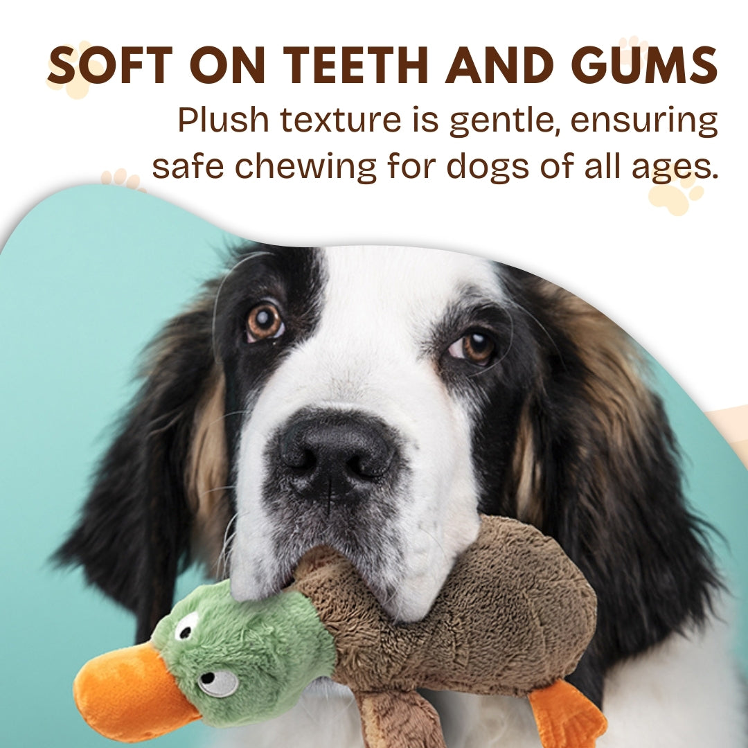 2025 Best Pet Supplies 2-in-1 Skin Stuffless Dog🐕 Squeaky Toy