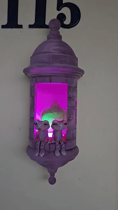 🔥Puerto Rican Garita Wall Coqui Lamp