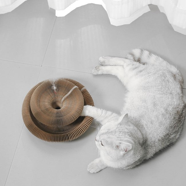 🐱Magic Accordion Cat Scratcher with Ball Adventure Interactive Toy