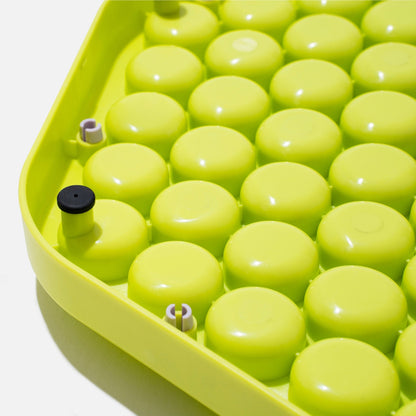 Floral Slower Feeder Basic