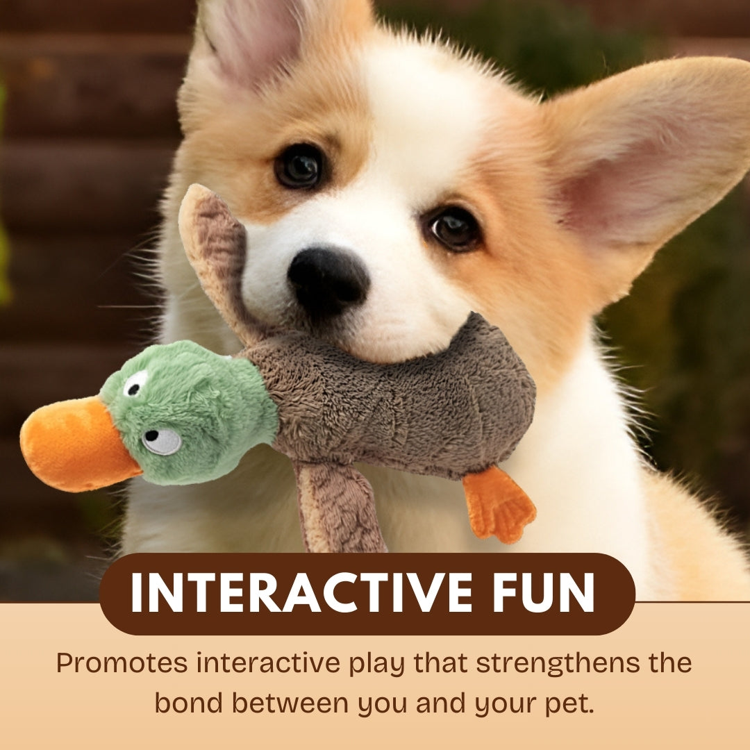 2025 Best Pet Supplies 2-in-1 Skin Stuffless Dog🐕 Squeaky Toy