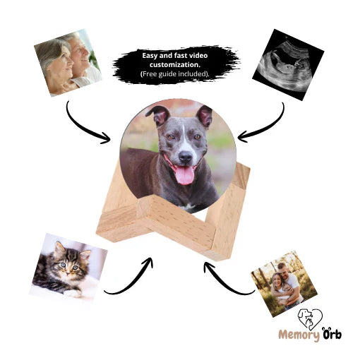 DIY Custom Memory Sphere Lamp Digital Picture Frames