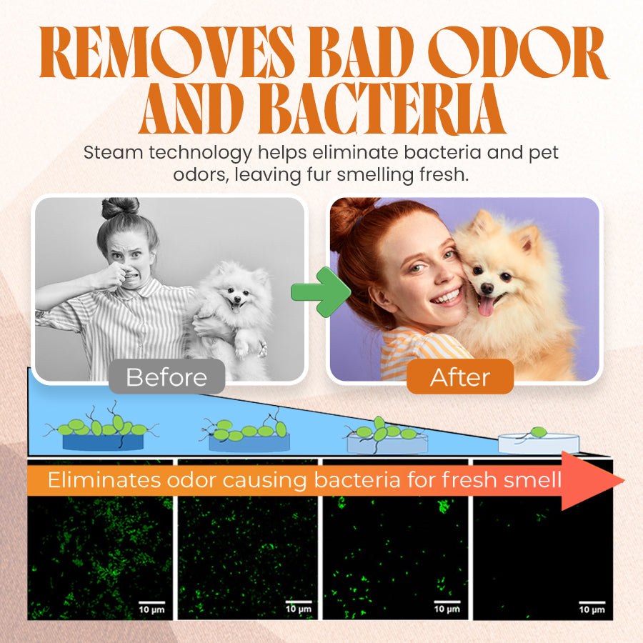 🐕‍🦺 PetAura Pet Grooming Brush