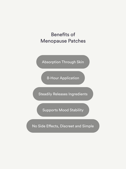 【Flash Sale 75% OFF⏰】LBMLBM™ Menopause Relief Patch – Hot Flash Cooling, Night Sweat Control & Hormone Balance 🌙（Sleep Better | Natural Relief）