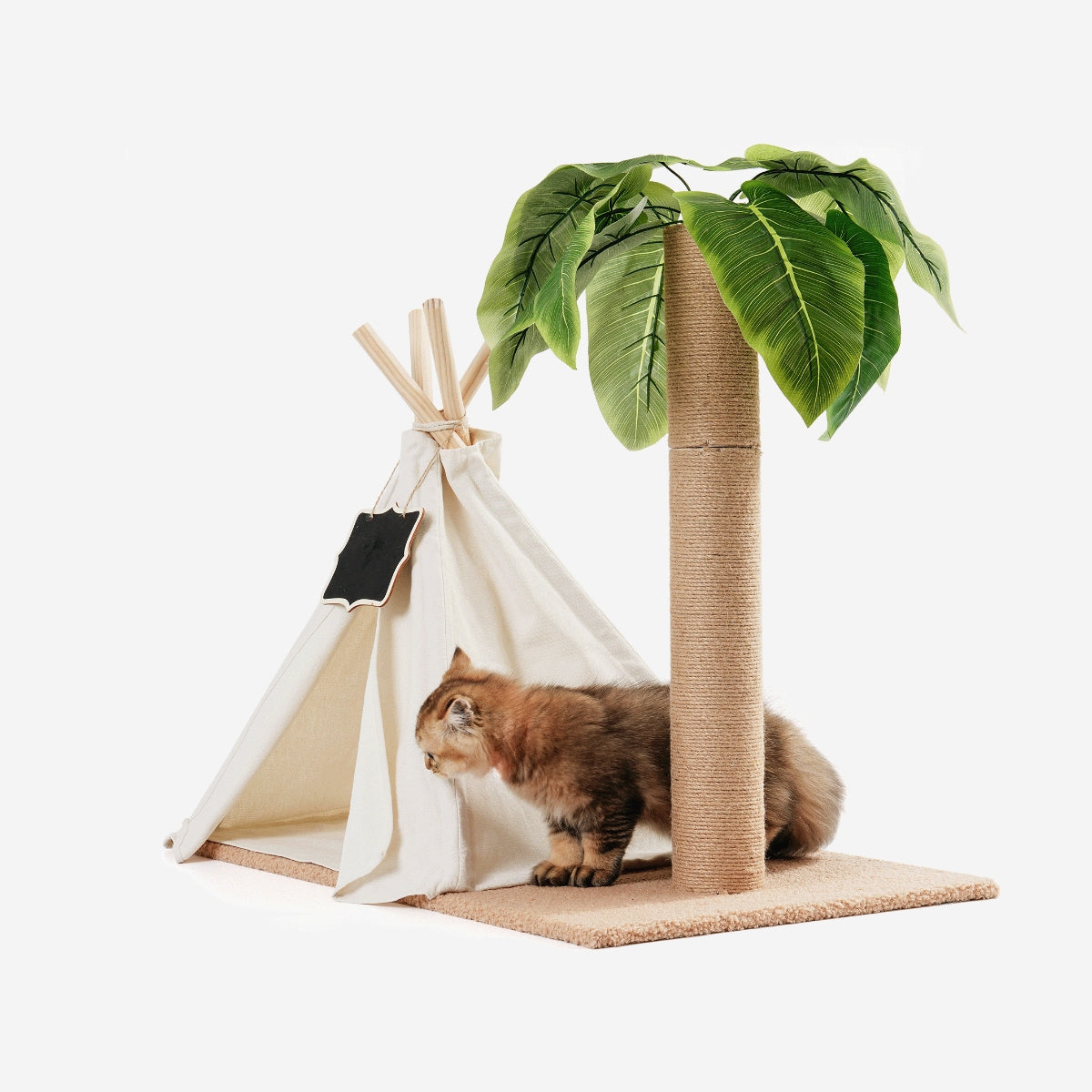 Cat Teepee Bed with Scratching Post