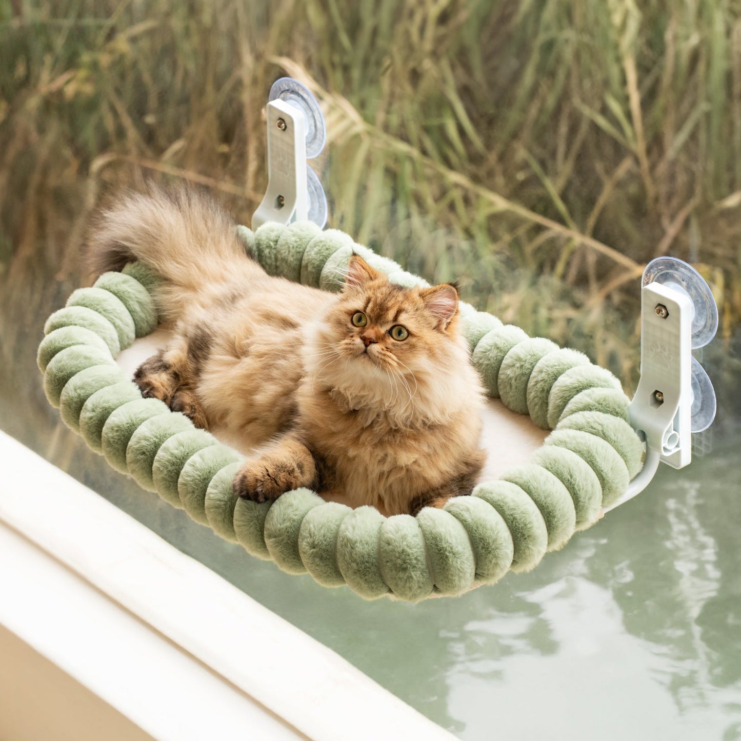 Aspen Foldable Cat Window Perch Pro