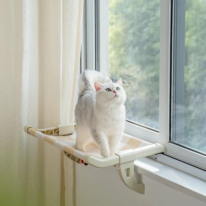 Home Warm Couch Cat Window Perch