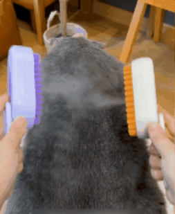 🐕‍🦺 PetAura Pet Grooming Brush
