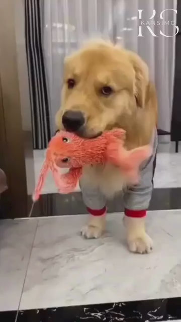 Floppy Lobster - Interactive Dog Toy
