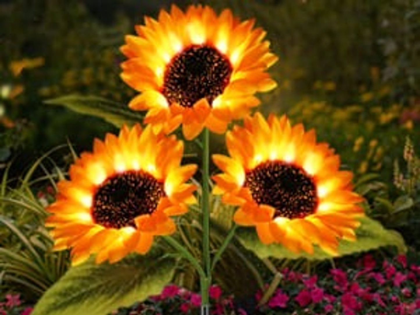 🌞Women's Equality Day - Solar LED Sunflower Garden Lights-29.6inch/75cm